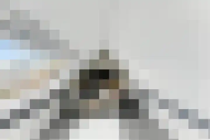 Kievitsweg 35 Ridderkerk thumbnail 26