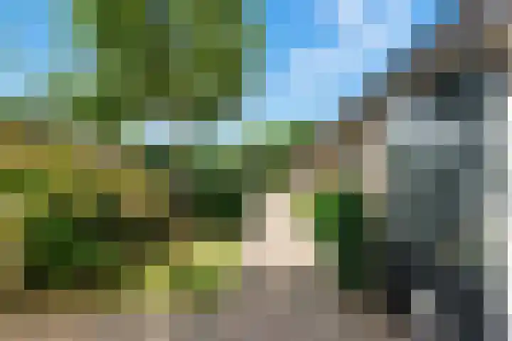 Kievitsweg 35 Ridderkerk thumbnail 31