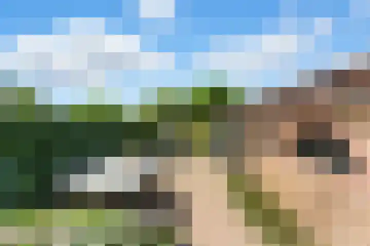 Kievitsweg 35 Ridderkerk thumbnail 32