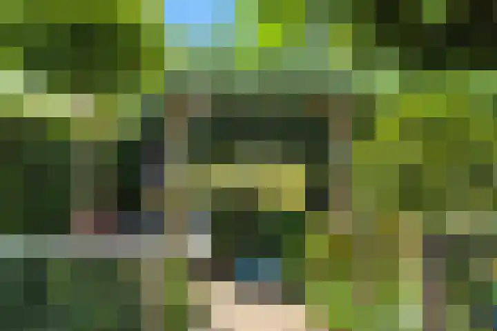 Kievitsweg 35 Ridderkerk thumbnail 36