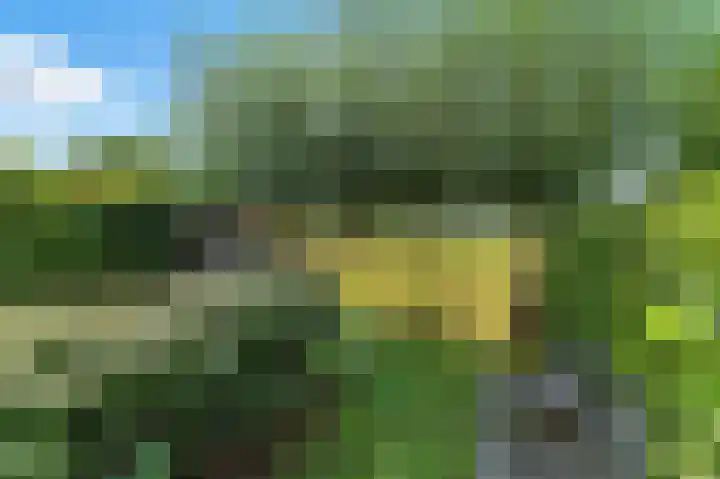 Kievitsweg 35 Ridderkerk thumbnail 38