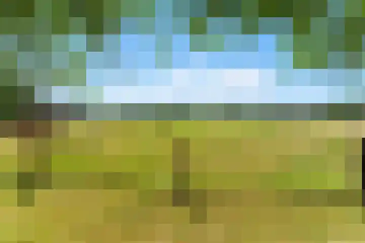 Kievitsweg 35 Ridderkerk thumbnail 39