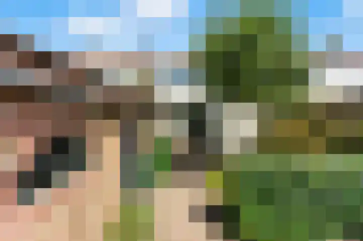 Kievitsweg 35 Ridderkerk thumbnail 43