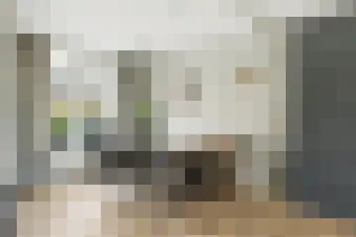 Kievitsweg 35 Ridderkerk thumbnail 6
