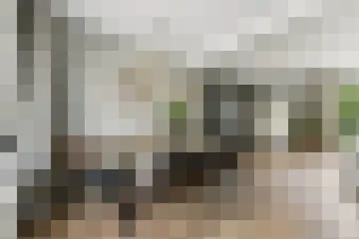 Kievitsweg 35 Ridderkerk thumbnail 7