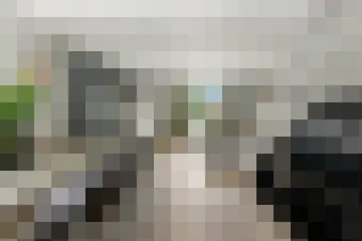 Kievitsweg 35 Ridderkerk thumbnail 8