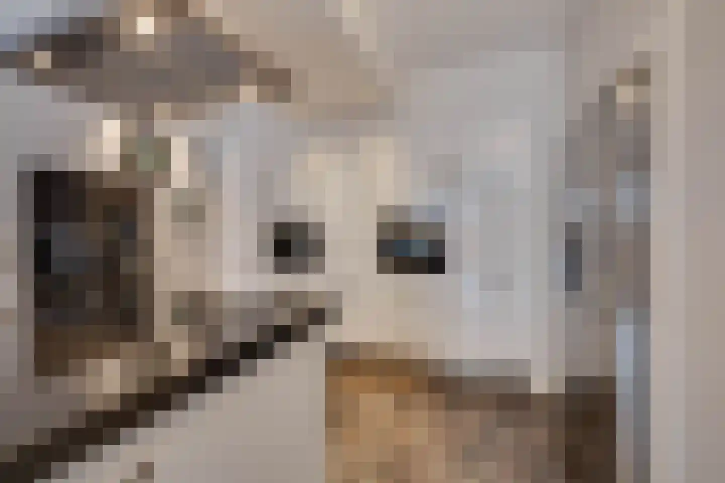 Kievitsweg 38 Apeldoorn thumbnail 11