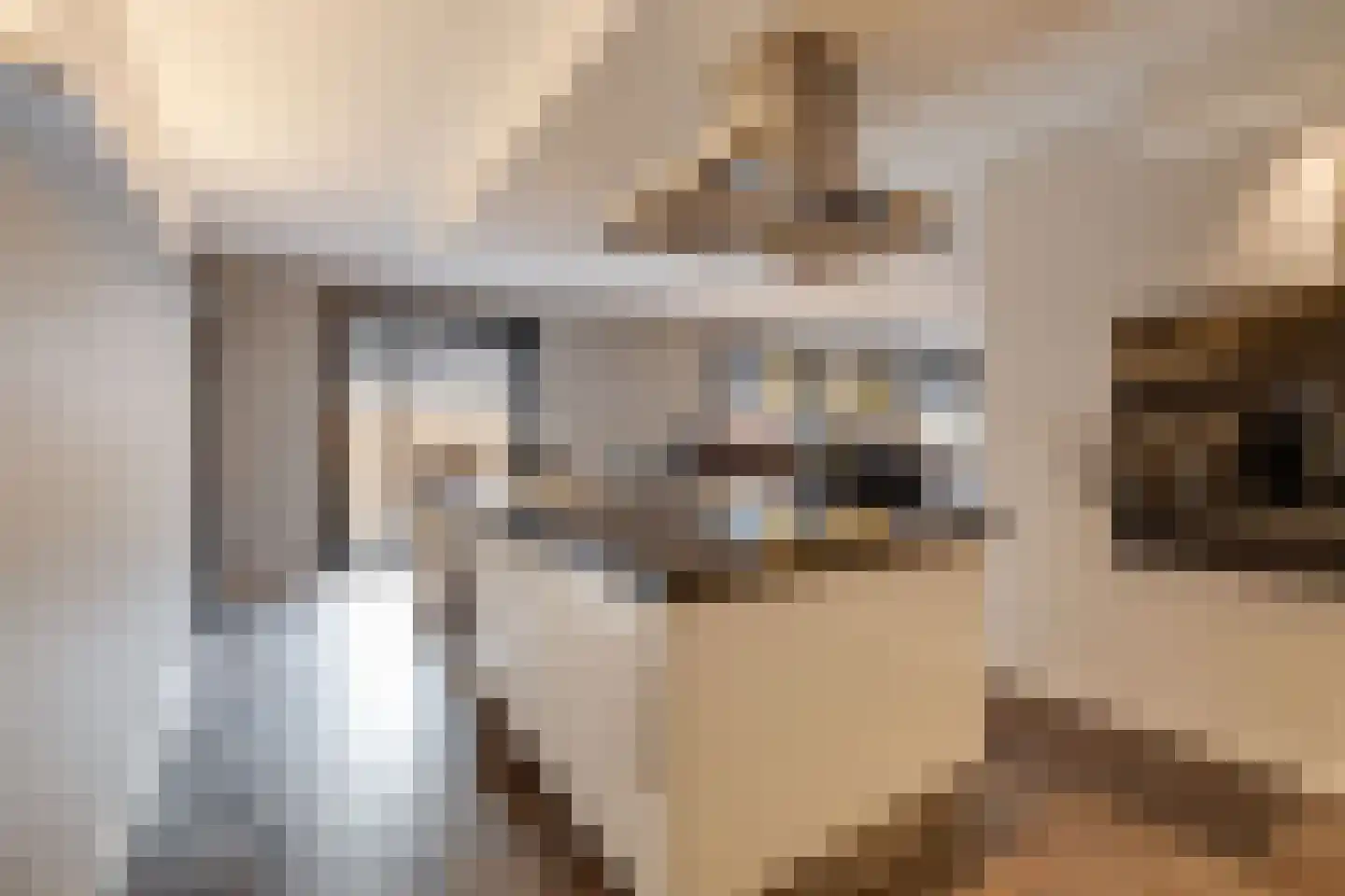 Kievitsweg 38 Apeldoorn thumbnail 12