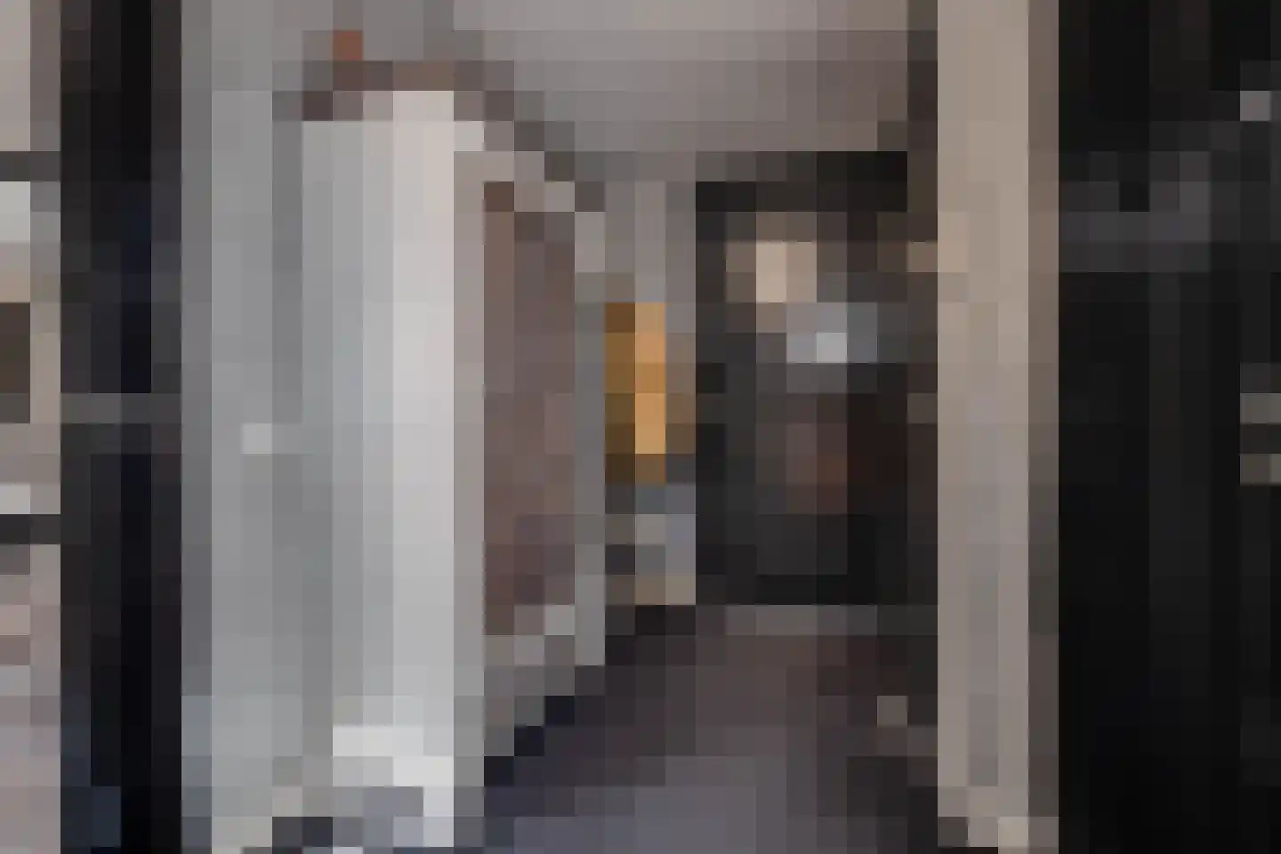 Kievitsweg 38 Apeldoorn thumbnail 14