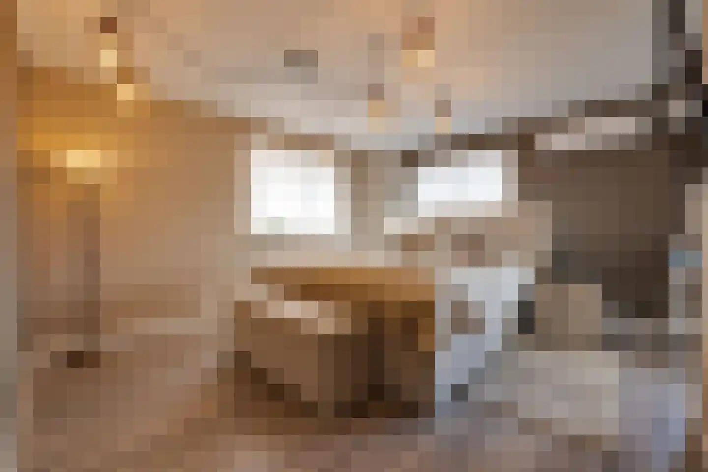 Kievitsweg 38 Apeldoorn thumbnail 19