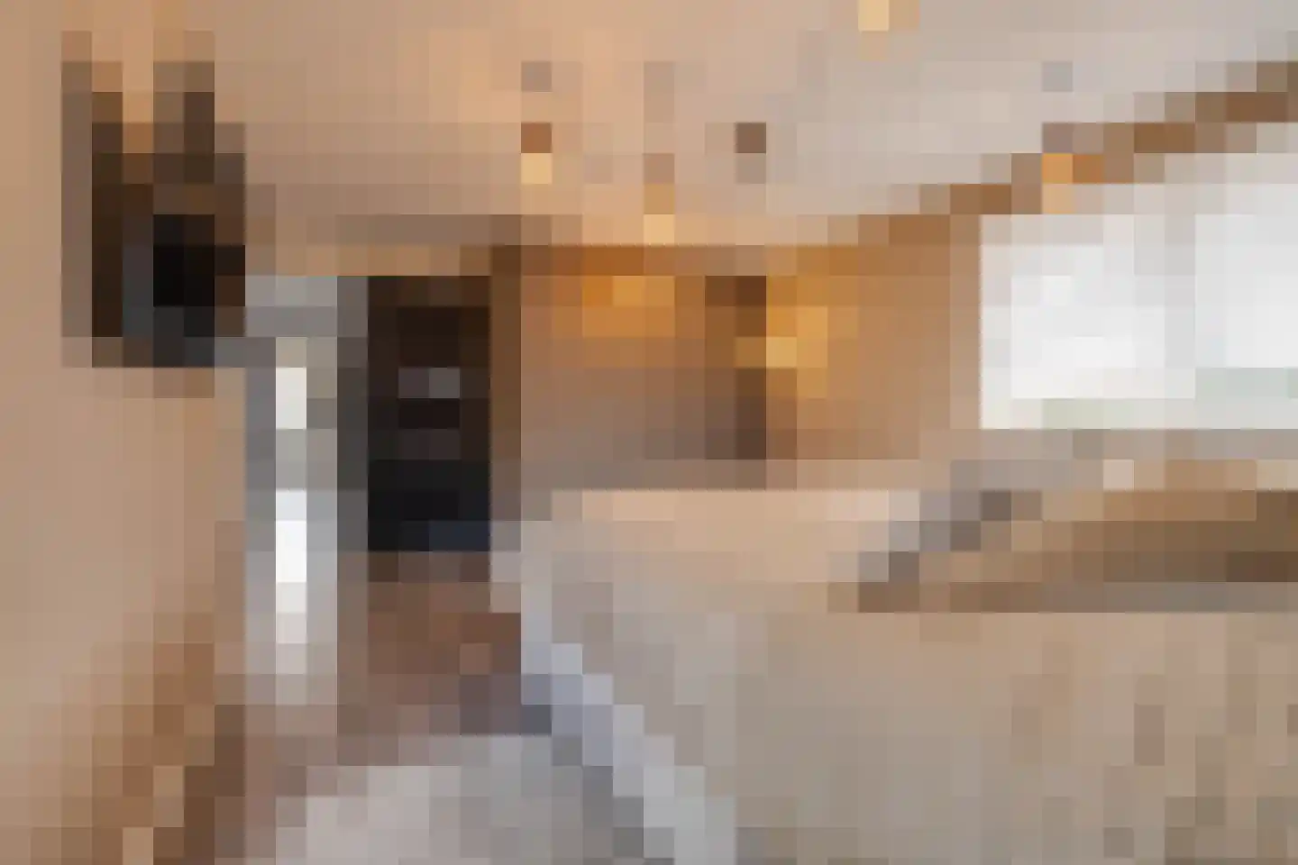 Kievitsweg 38 Apeldoorn thumbnail 20