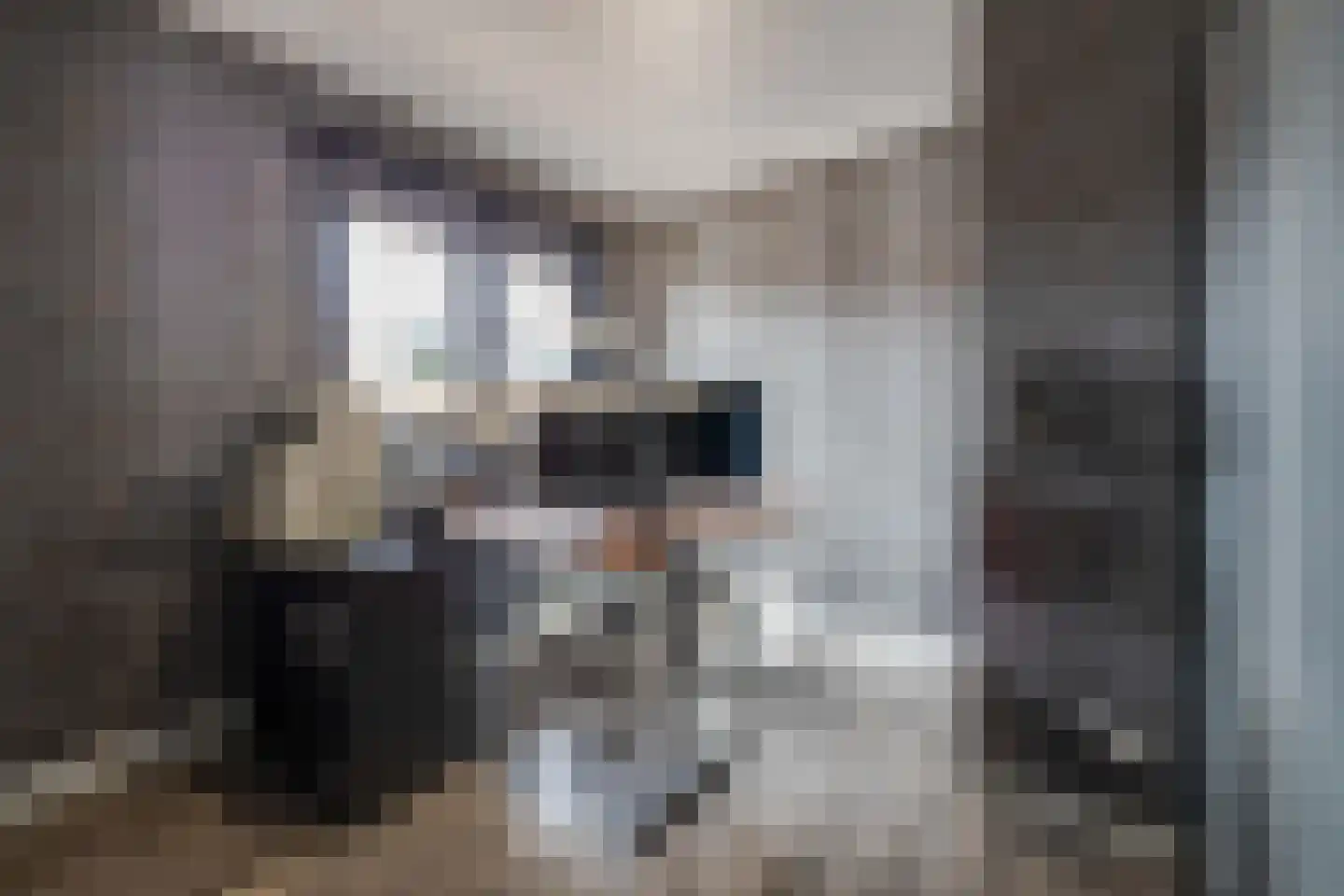 Kievitsweg 38 Apeldoorn thumbnail 23