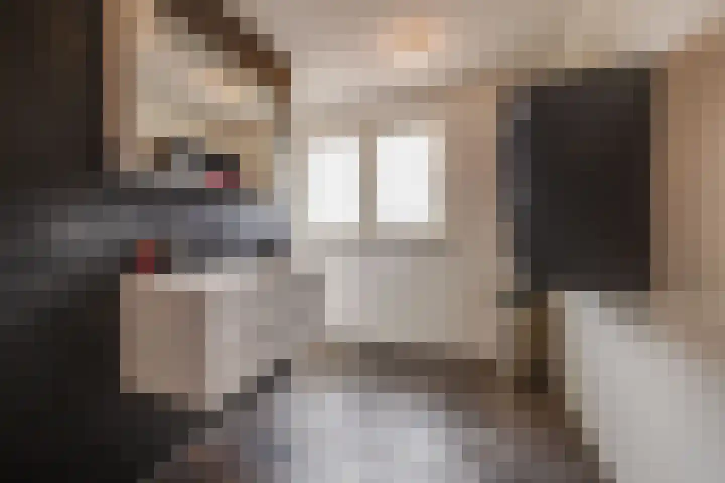 Kievitsweg 38 Apeldoorn thumbnail 28