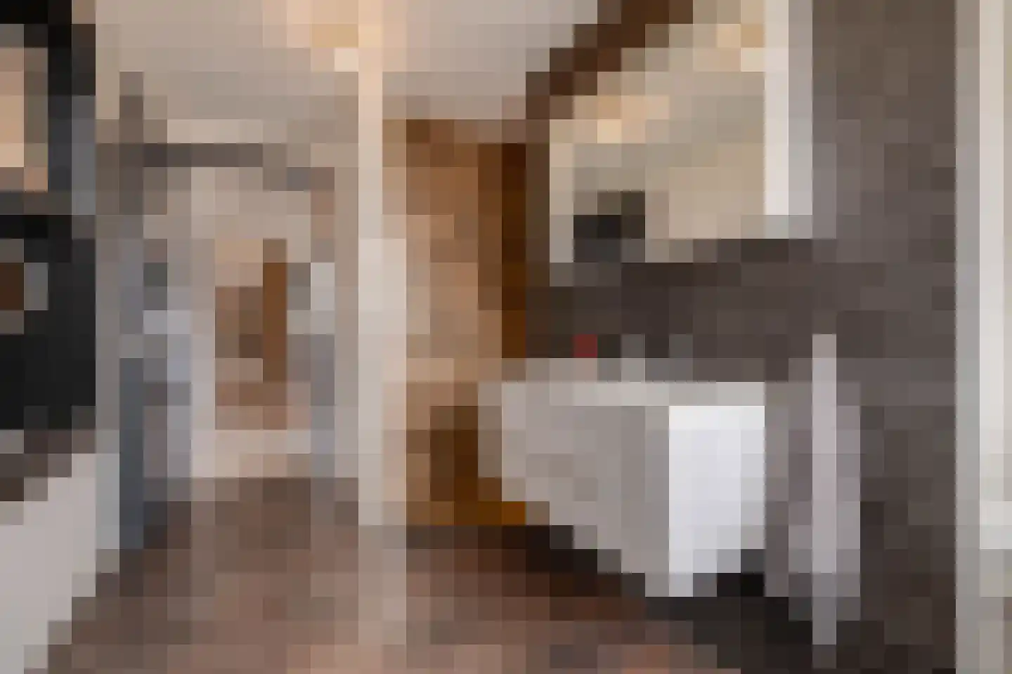 Kievitsweg 38 Apeldoorn thumbnail 31