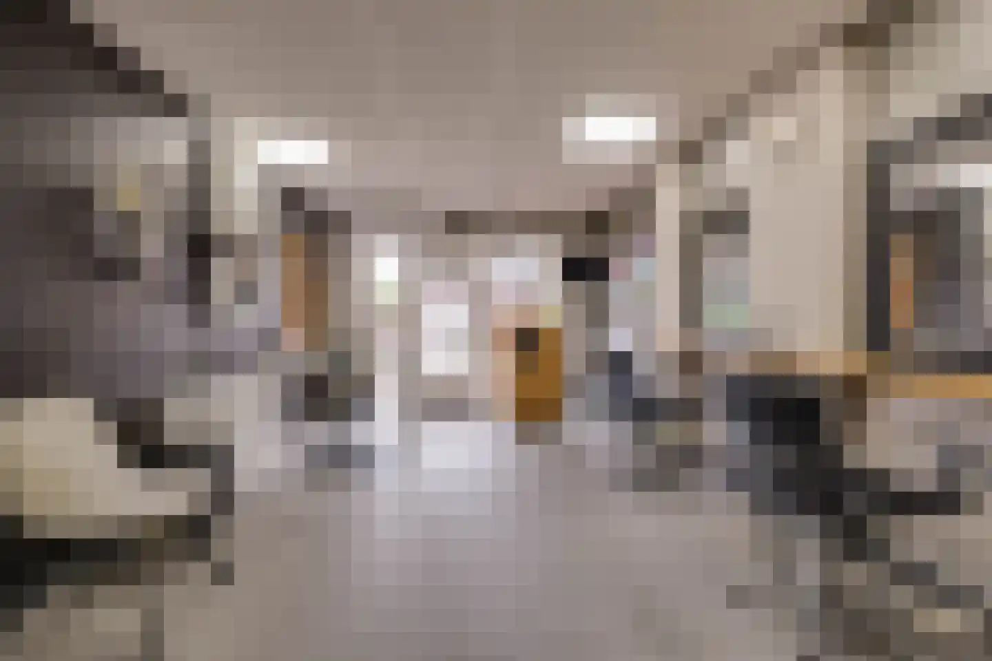 Kievitsweg 38 Apeldoorn thumbnail 35