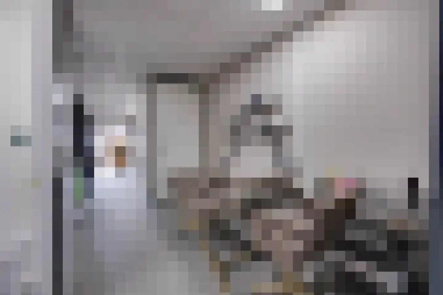 Kievitsweg 38 Apeldoorn thumbnail 37