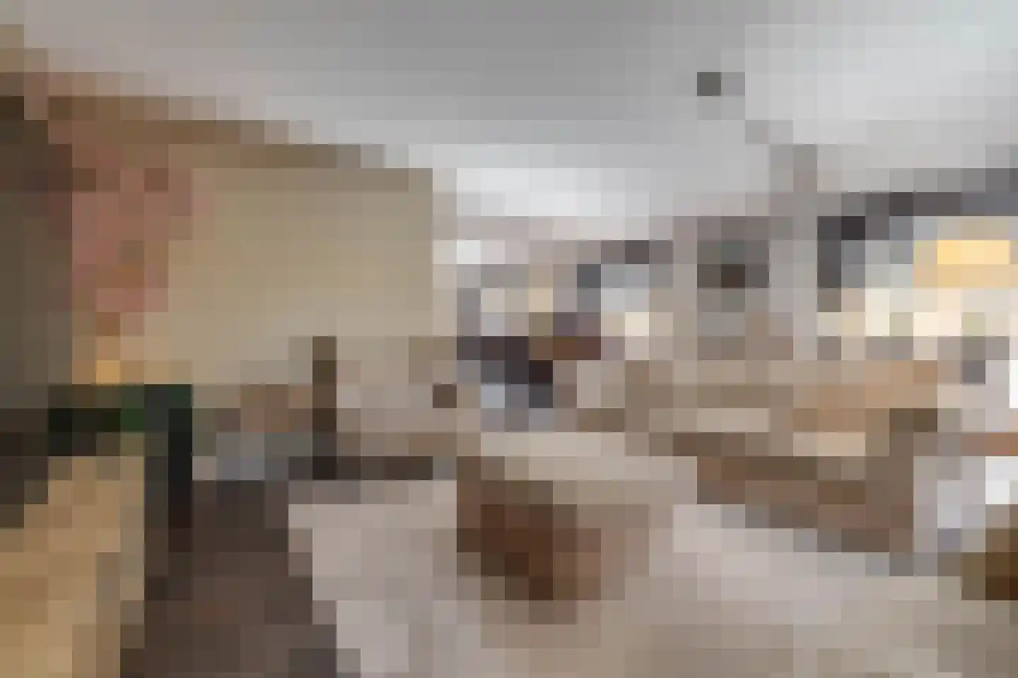 Kievitsweg 38 Apeldoorn thumbnail 4