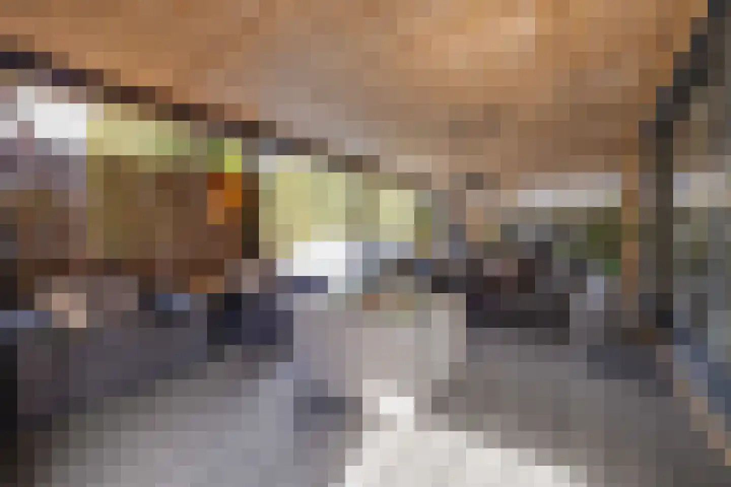 Kievitsweg 38 Apeldoorn thumbnail 40