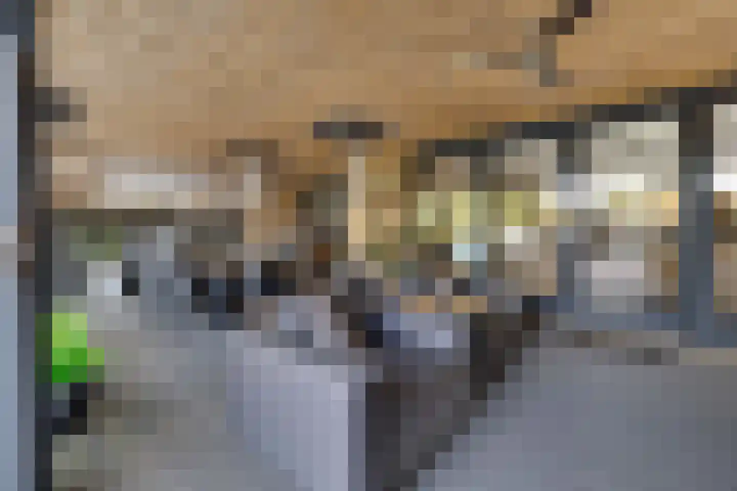 Kievitsweg 38 Apeldoorn thumbnail 42