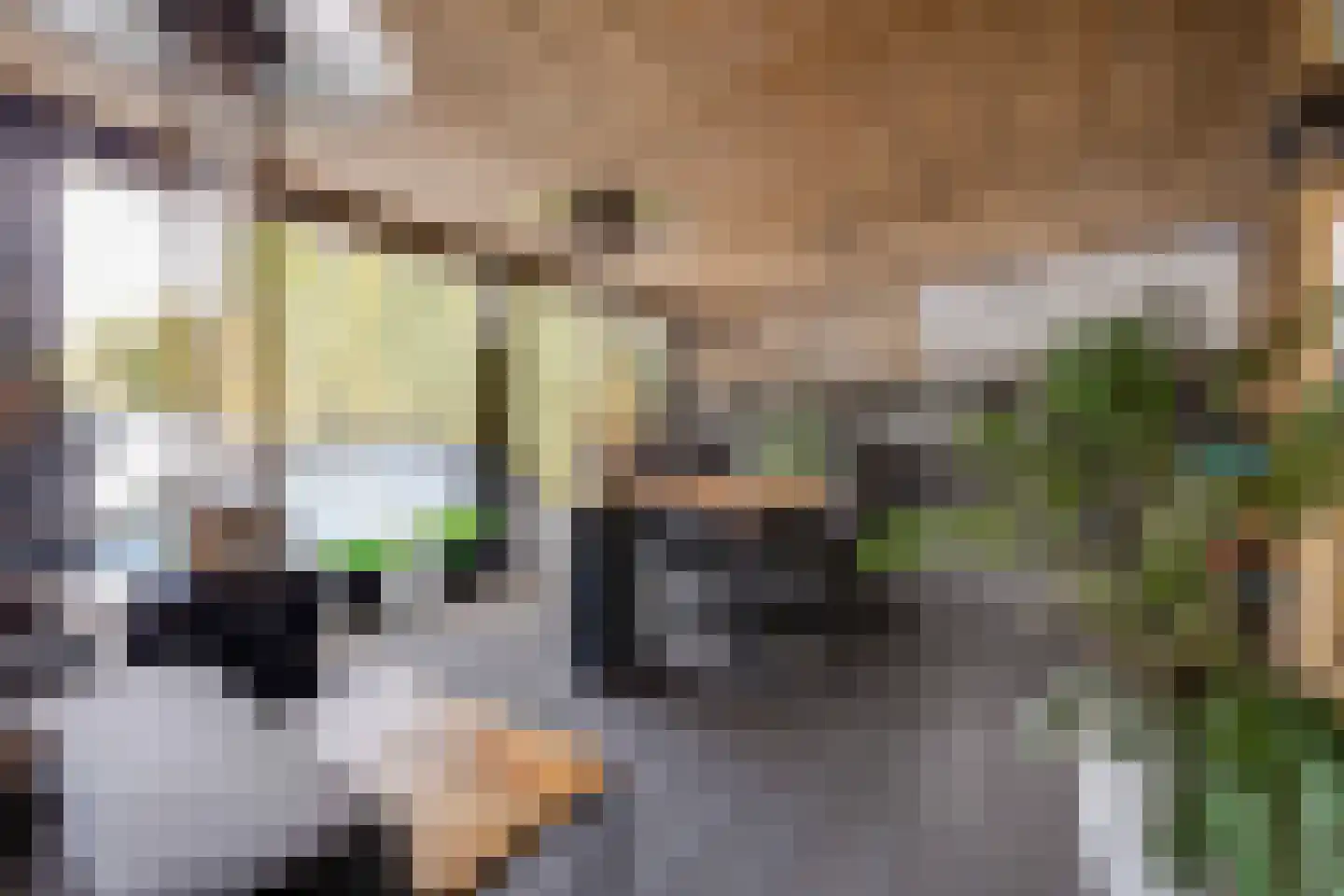 Kievitsweg 38 Apeldoorn thumbnail 43