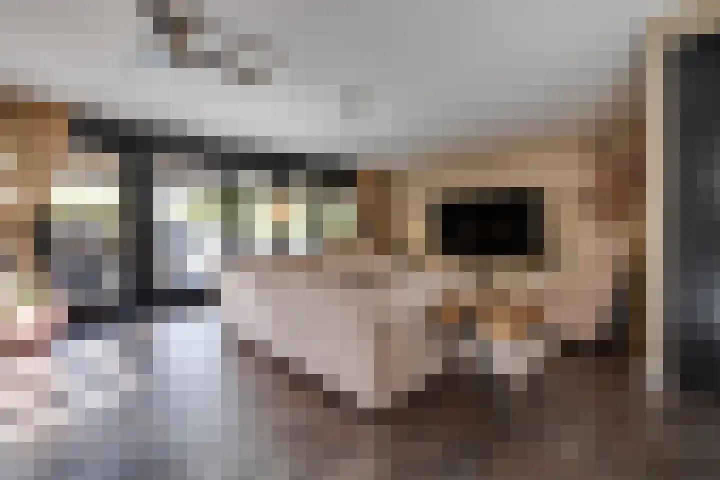 Kievitsweg 38 Apeldoorn thumbnail 6