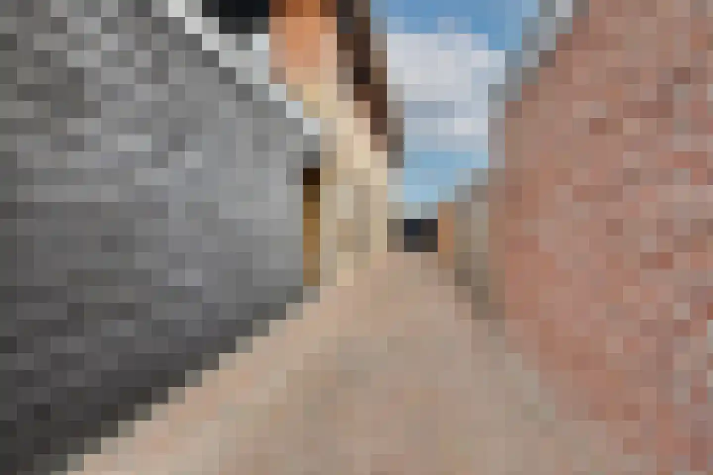 Kievitsweg 38 Apeldoorn thumbnail 61