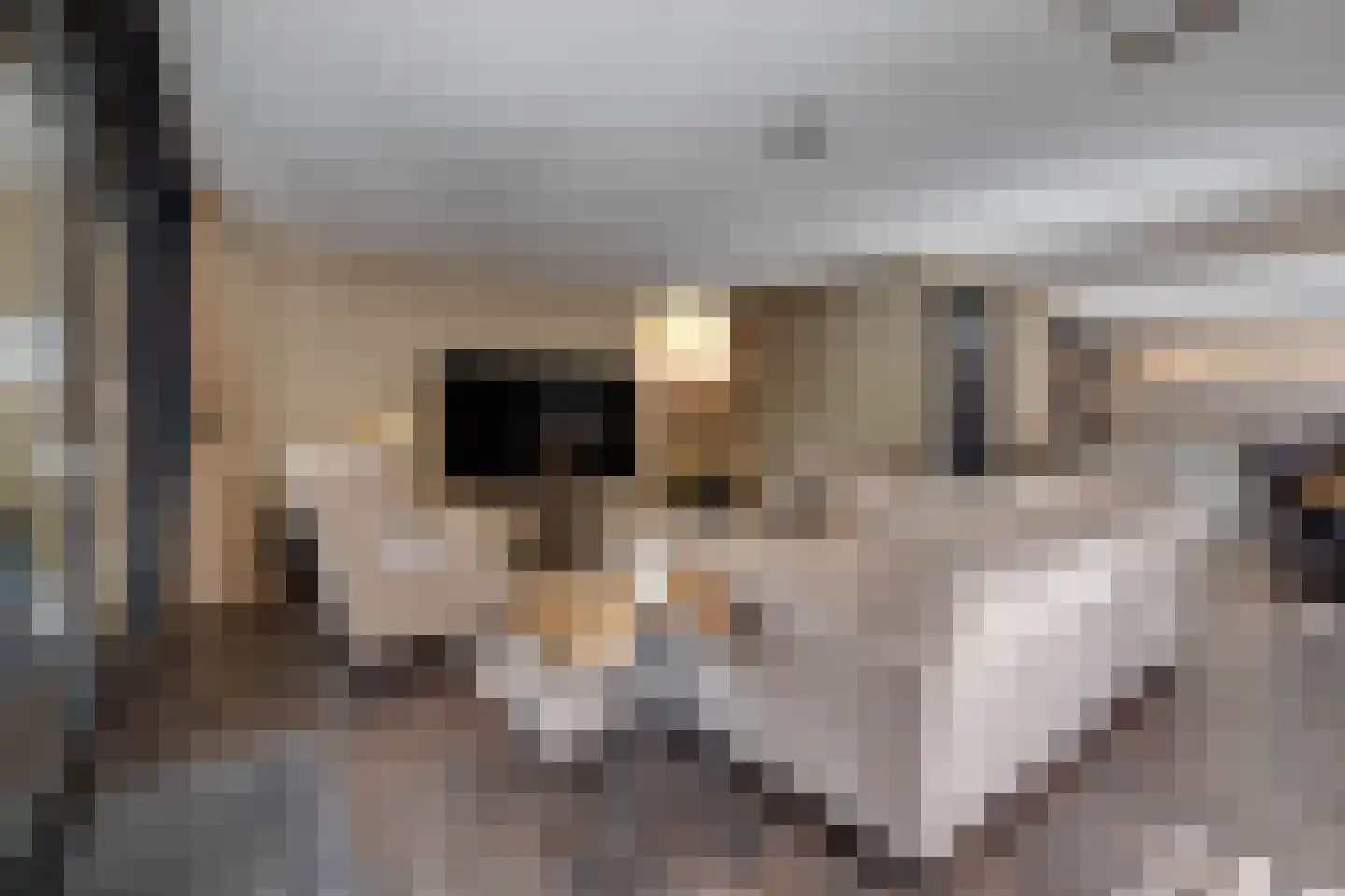 Kievitsweg 38 Apeldoorn thumbnail 8