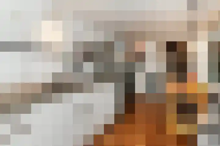 Kievitsweg 40 Ridderkerk thumbnail 14