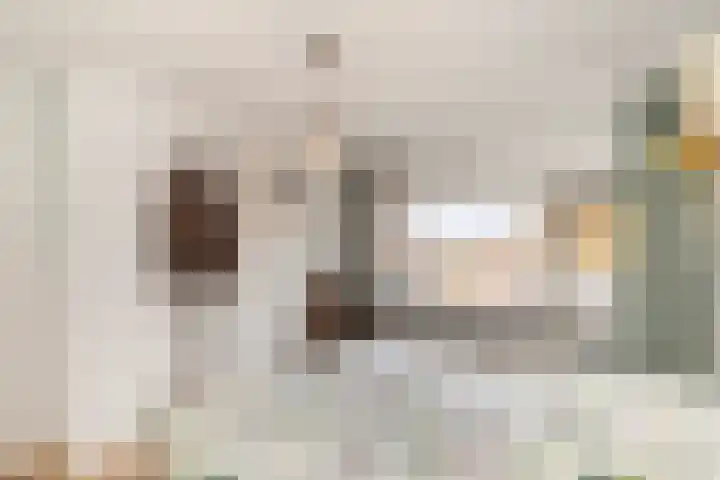 Kievitsweg 40 Ridderkerk thumbnail 19