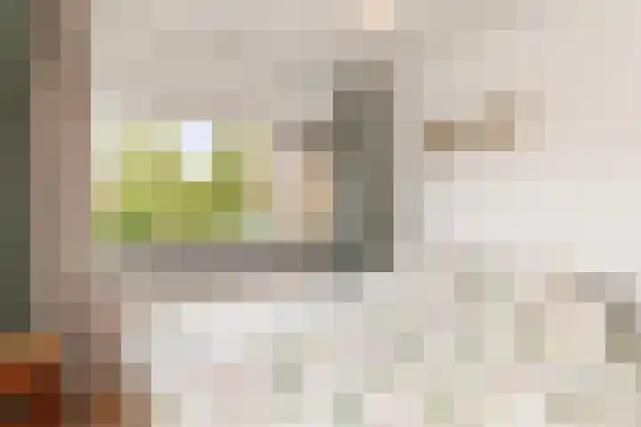 Kievitsweg 40 Ridderkerk thumbnail 20
