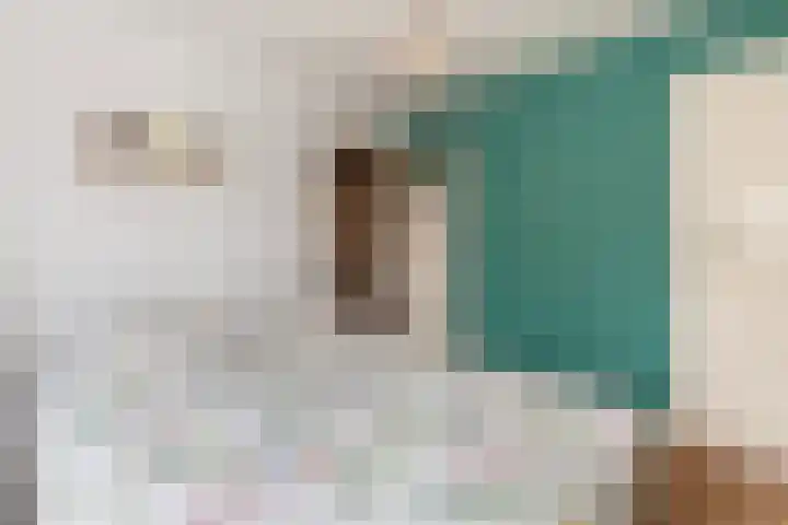 Kievitsweg 40 Ridderkerk thumbnail 21