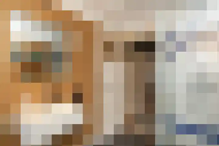 Kievitsweg 40 Ridderkerk thumbnail 26