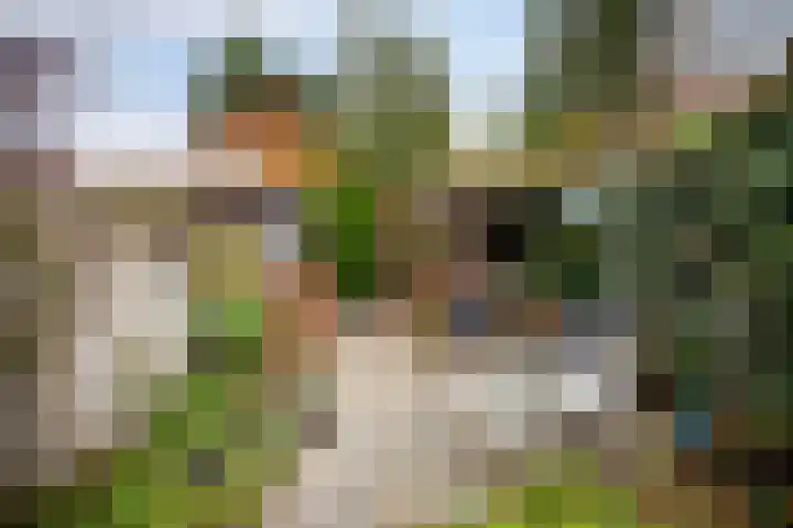 Kievitsweg 40 Ridderkerk thumbnail 34