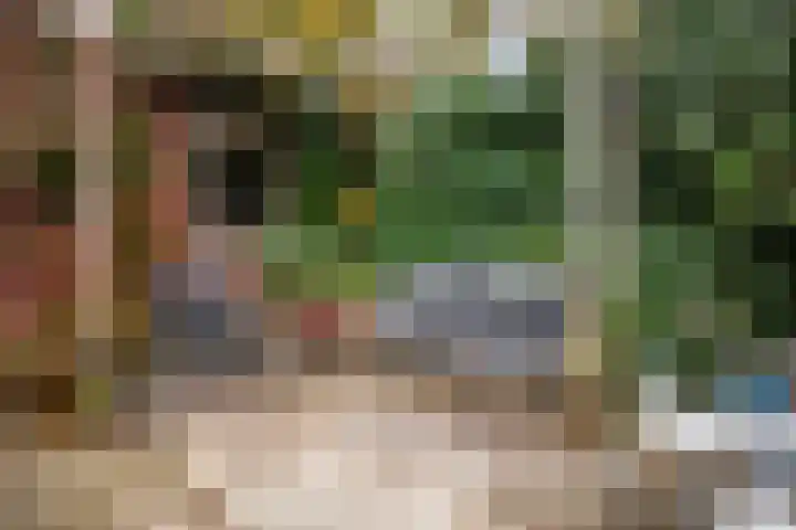 Kievitsweg 40 Ridderkerk thumbnail 35