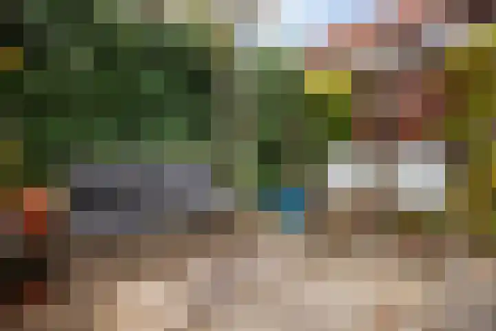 Kievitsweg 40 Ridderkerk thumbnail 37