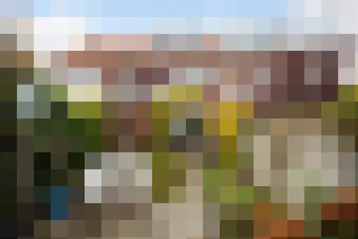 Kievitsweg 40 Ridderkerk thumbnail 38