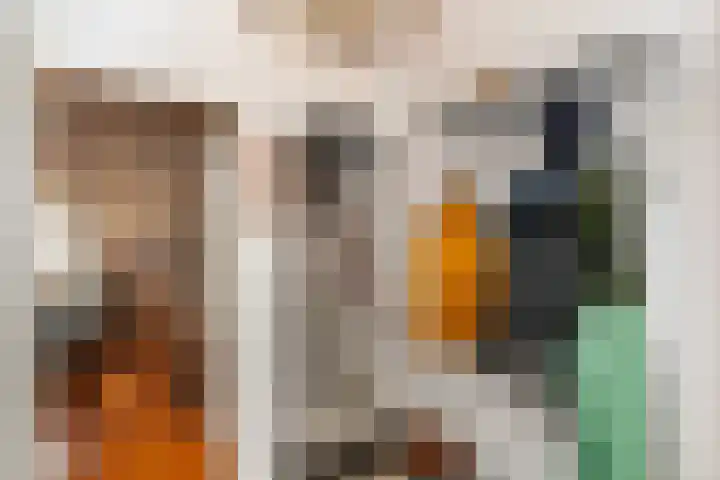 Kievitsweg 40 Ridderkerk thumbnail 5