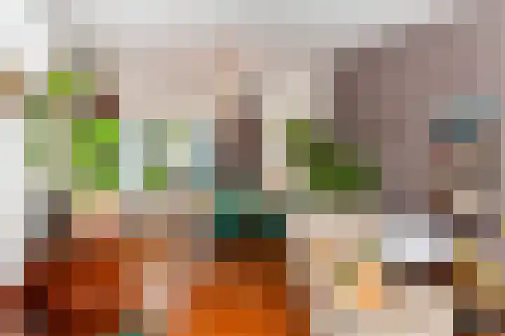 Kievitsweg 40 Ridderkerk thumbnail 9