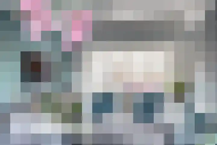 Kievitsweg 54 Ridderkerk thumbnail 11