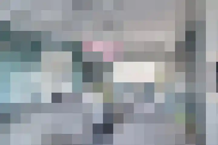 Kievitsweg 54 Ridderkerk thumbnail 12