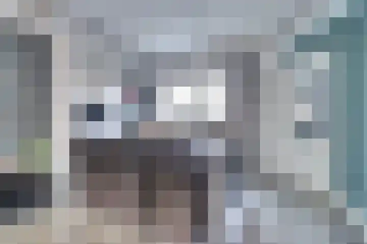 Kievitsweg 54 Ridderkerk thumbnail 15