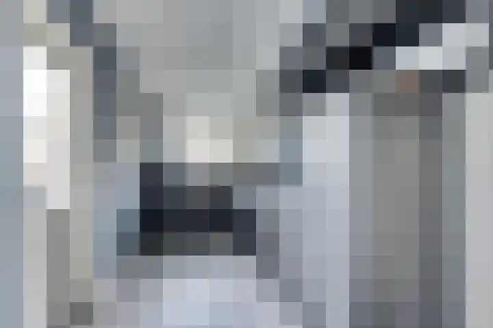 Kievitsweg 54 Ridderkerk thumbnail 16