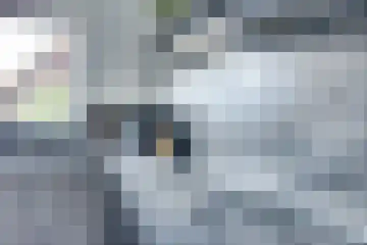 Kievitsweg 54 Ridderkerk thumbnail 17