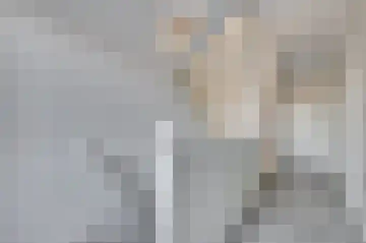 Kievitsweg 54 Ridderkerk thumbnail 21