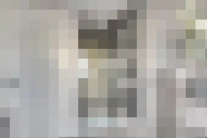 Kievitsweg 54 Ridderkerk thumbnail 28