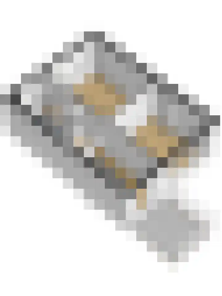 Kievitsweg 54 Ridderkerk thumbnail 47