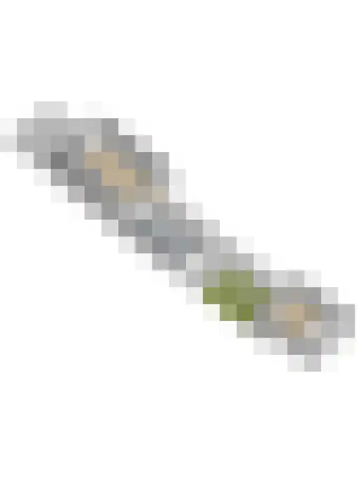 Kievitsweg 54 Ridderkerk thumbnail 50