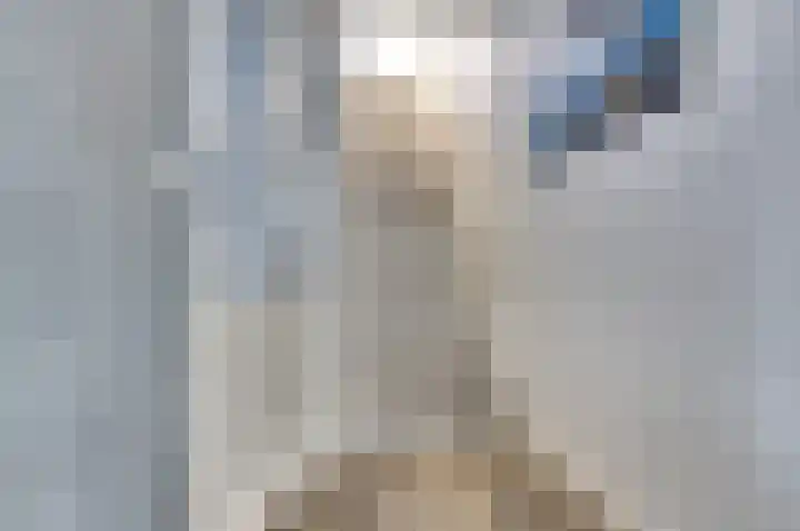 Kievitsweg 54 Ridderkerk thumbnail 8