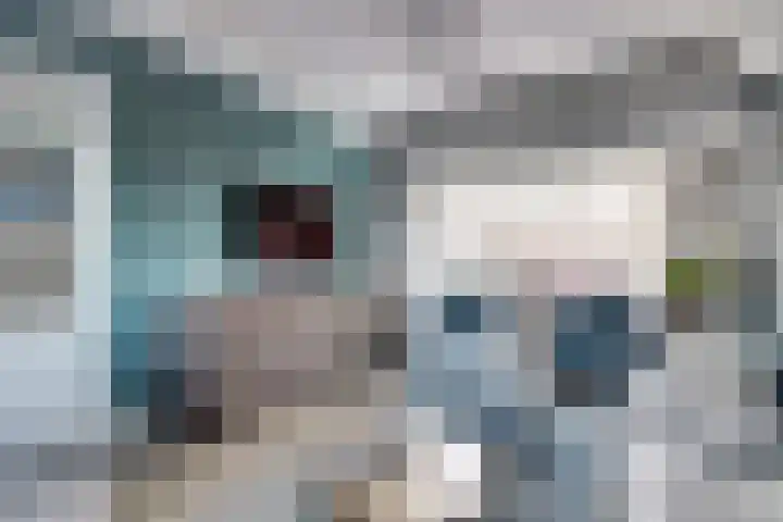 Kievitsweg 54 Ridderkerk thumbnail 9