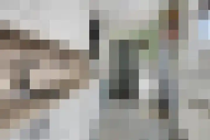 Kievitsweg 56 Ridderkerk thumbnail 11